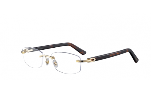 Cartier CT0048O 004 53