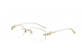 Cartier CT0061O 002 53