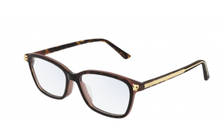 Cartier CT0206OA 002 54