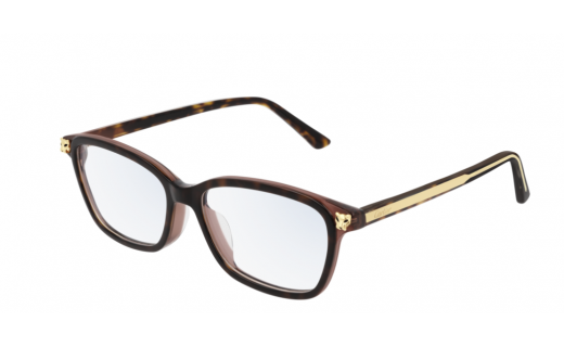 Cartier CT0206OA 002 54