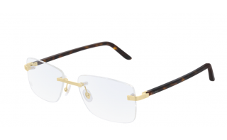 Cartier CT0216OA 003 57