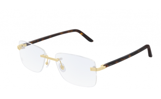 Cartier CT0216OA 003 57