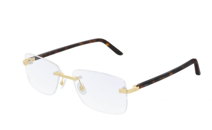 Cartier CT0216OA 003 57